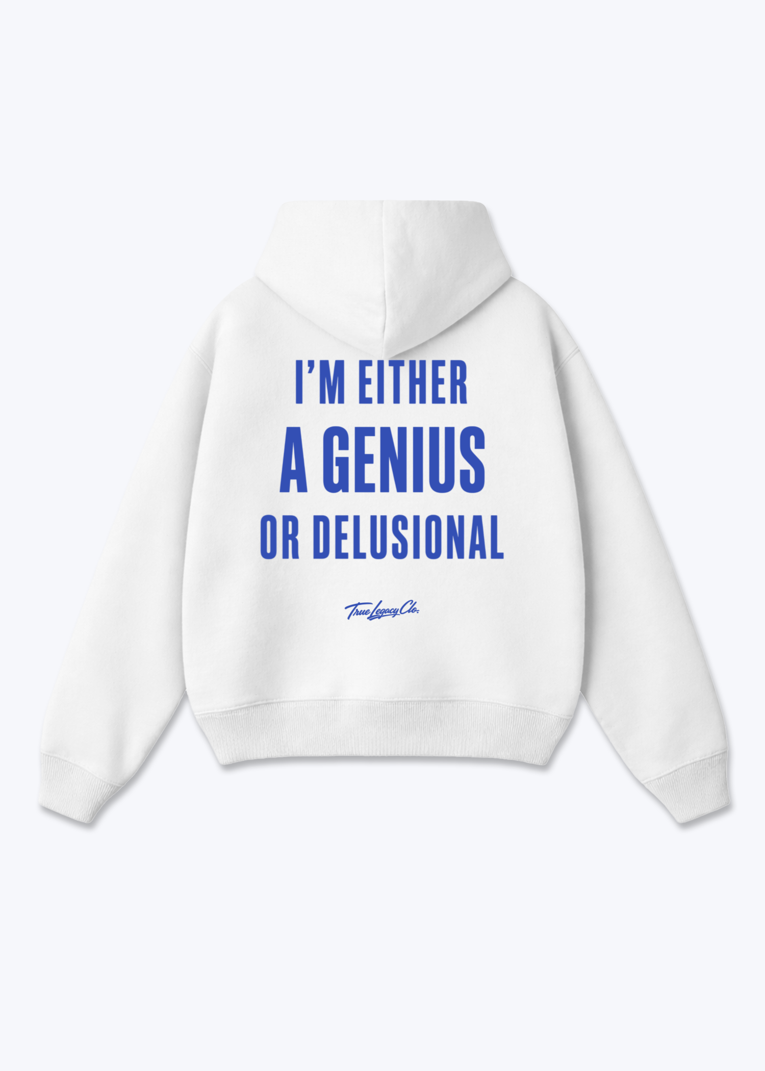 GENIUS OR DELUSIONAL - Oversized Hoodie - White Back (Designed)