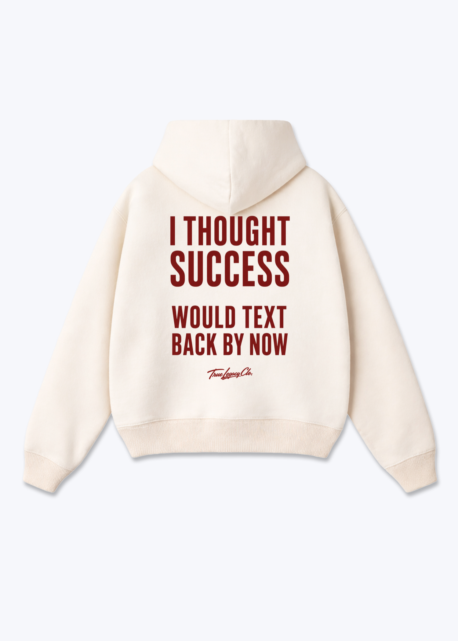 TOUGHT SUCCESS WOULD TEXT - Oversized Hoodie - Beige Back (Designed)